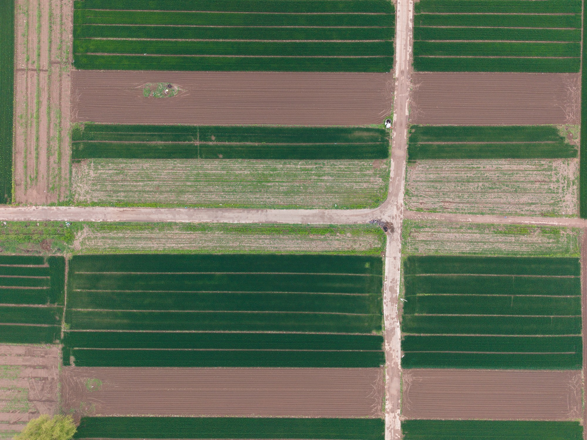 大疆DJI Lito X1/Lito 1无人机评测：更智能、更好用的新手入门级无人机