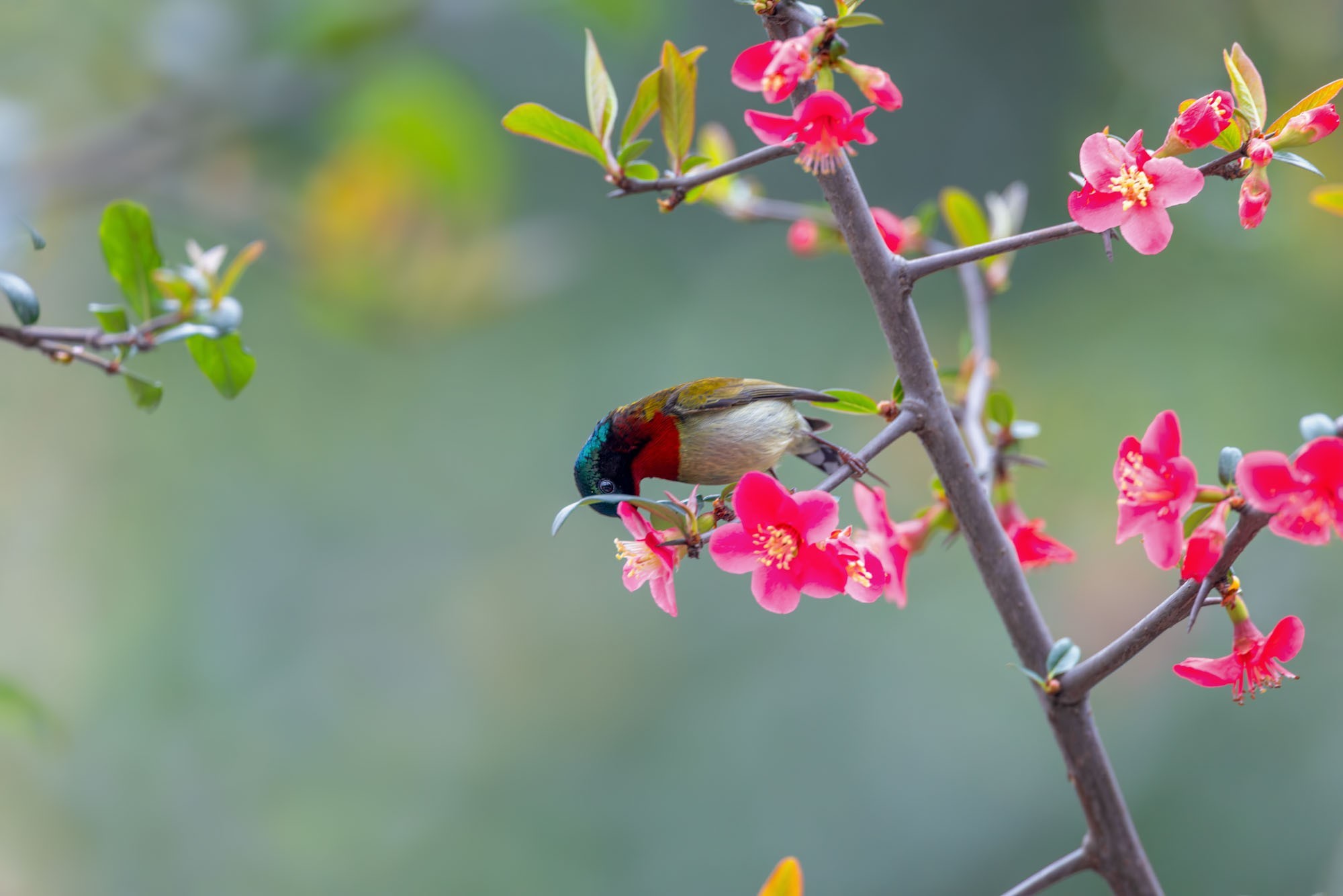 摄影师庄言Grey访谈：佳能5系二十载，我与飞羽共新生