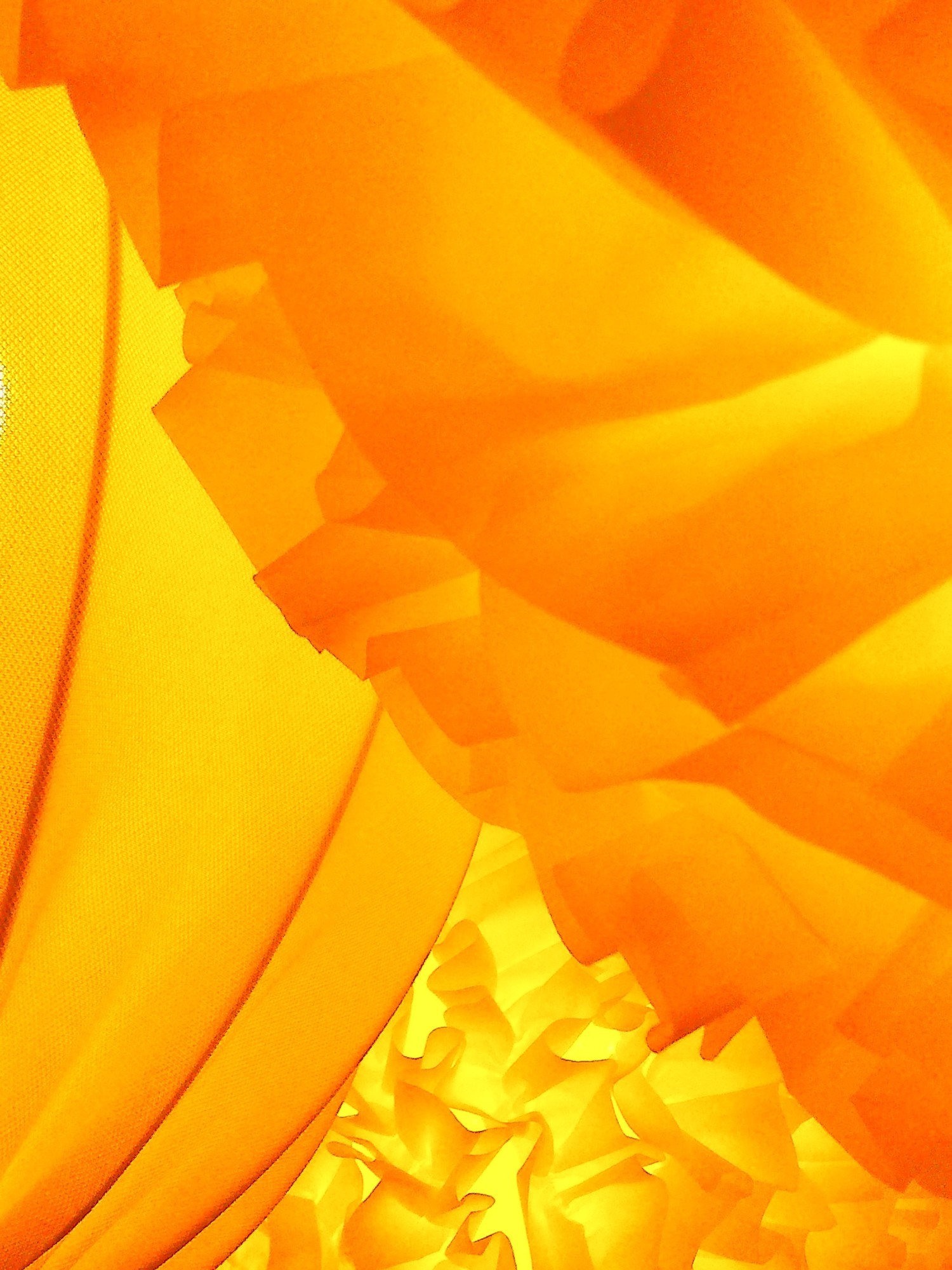 ����ʱ��� Evo Cinema��������