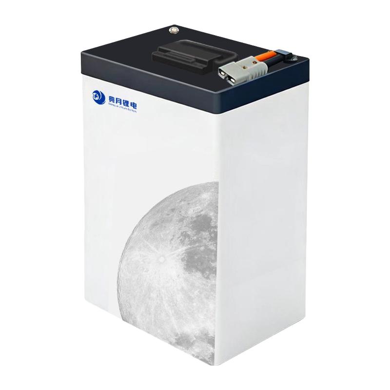 典月 锂电池72V91.5AH极核MAX2小牛FX九号闪骑国轩全新A品磷酸铁锂