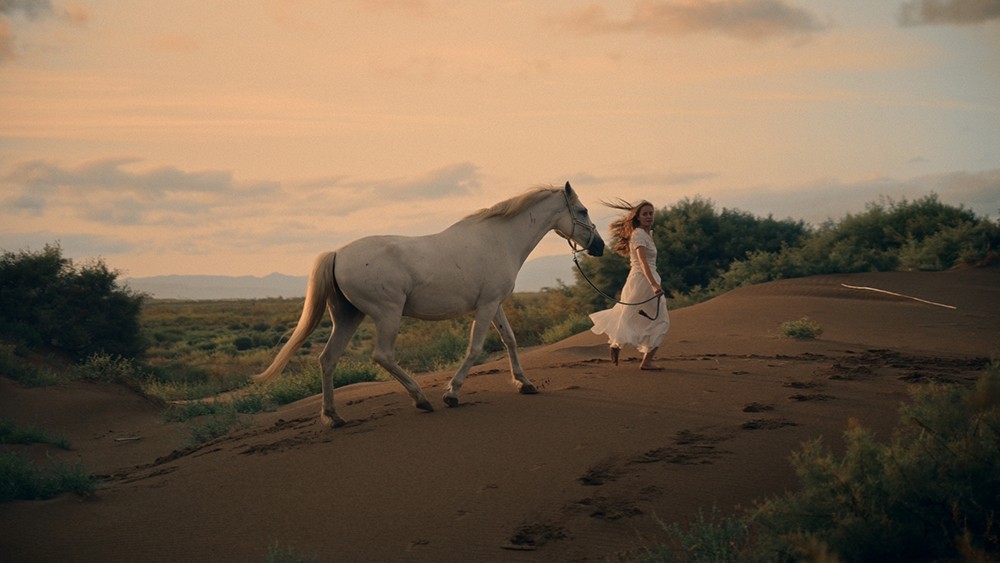 13999Ԫ���῵ZRȫ������Ӱ��Ӱ����ʽ����