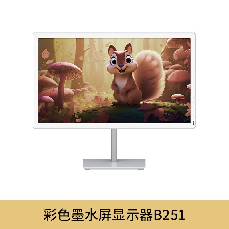 BIGME 彩色墨水屏显示器B251墨水屏拓展显示屏25.3英寸台式护眼显示器可手机投屏