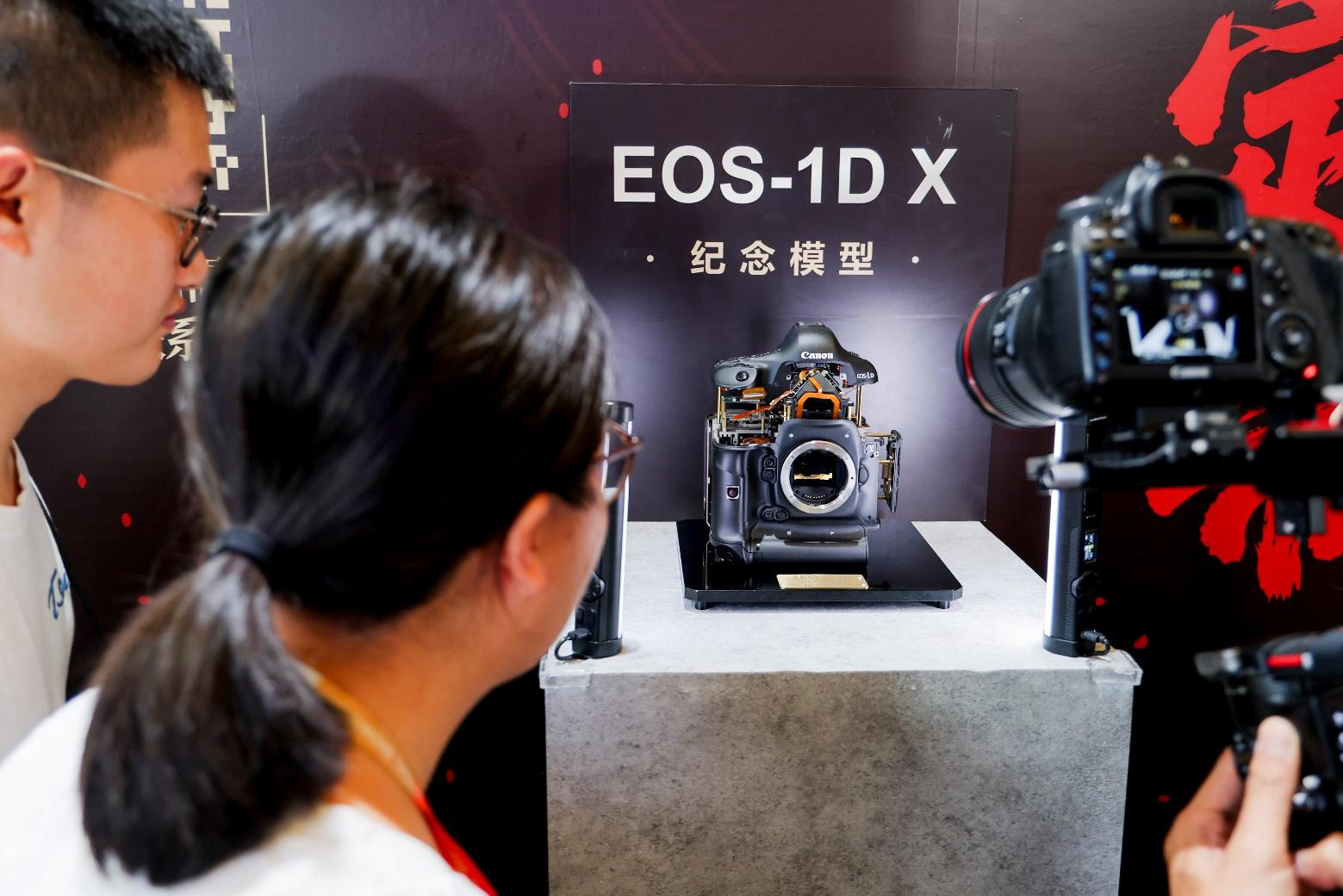 ����Я�ḻӰ�������������������Ʒ����P&I 2025