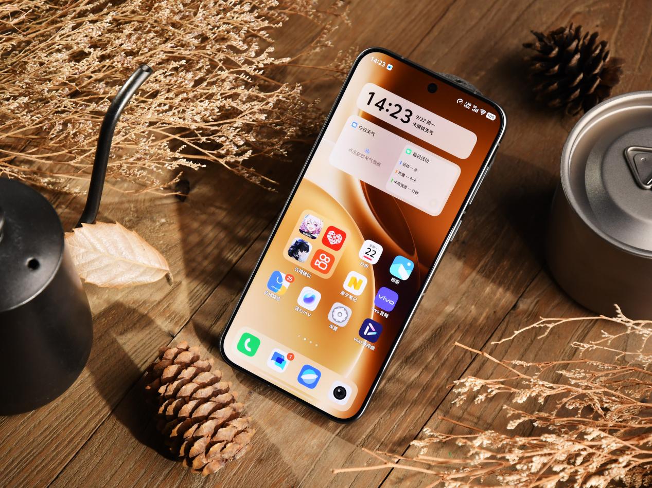 vivo X300 Pro�������Ȳ� ����Ѫ������9500������������̨��