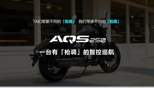 ��ʽѲ����250cc�Ƽ�����Ҫǻ����ҲҪ��ĺ���