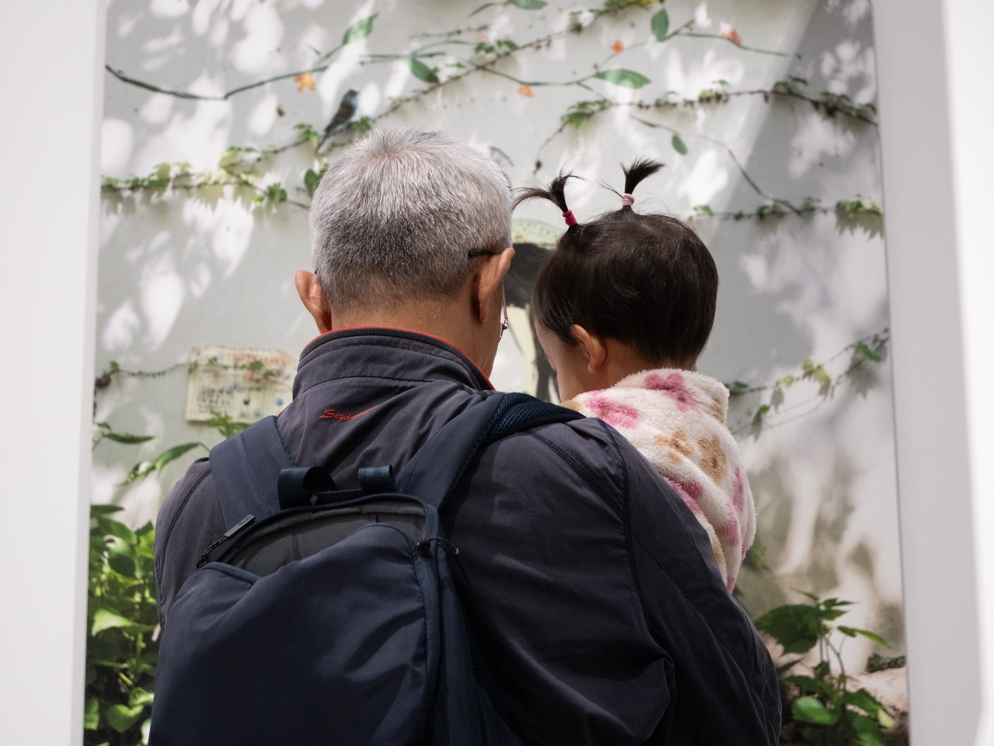 一场关于光的交响曲 FUJIKINA富士胶片影像周逛展指南