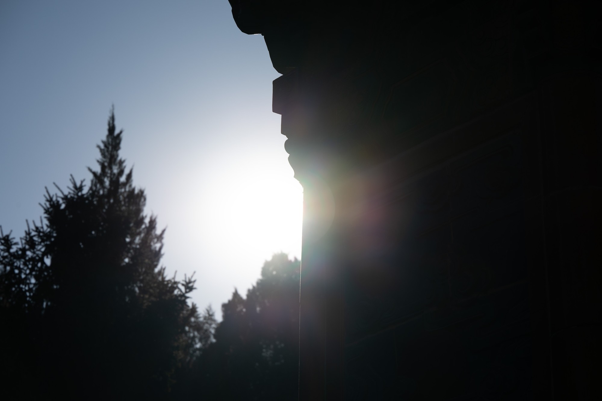 轻便入门之选 尼克尔 Z 24-105mm f/4-7.1镜头评测