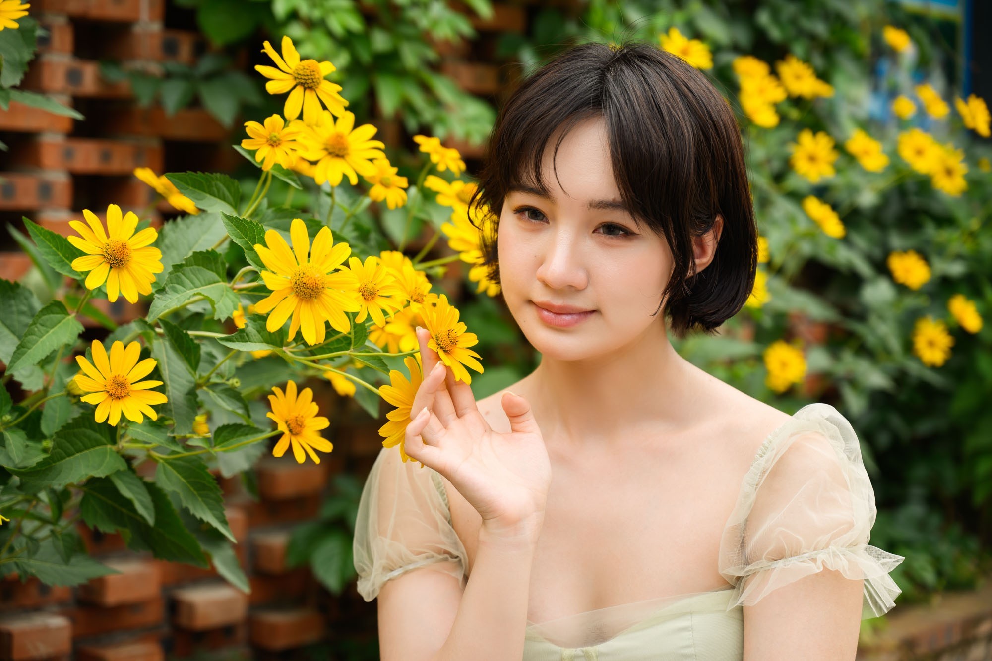 ��׼��¼ÿһ������ �῵Z5II������������