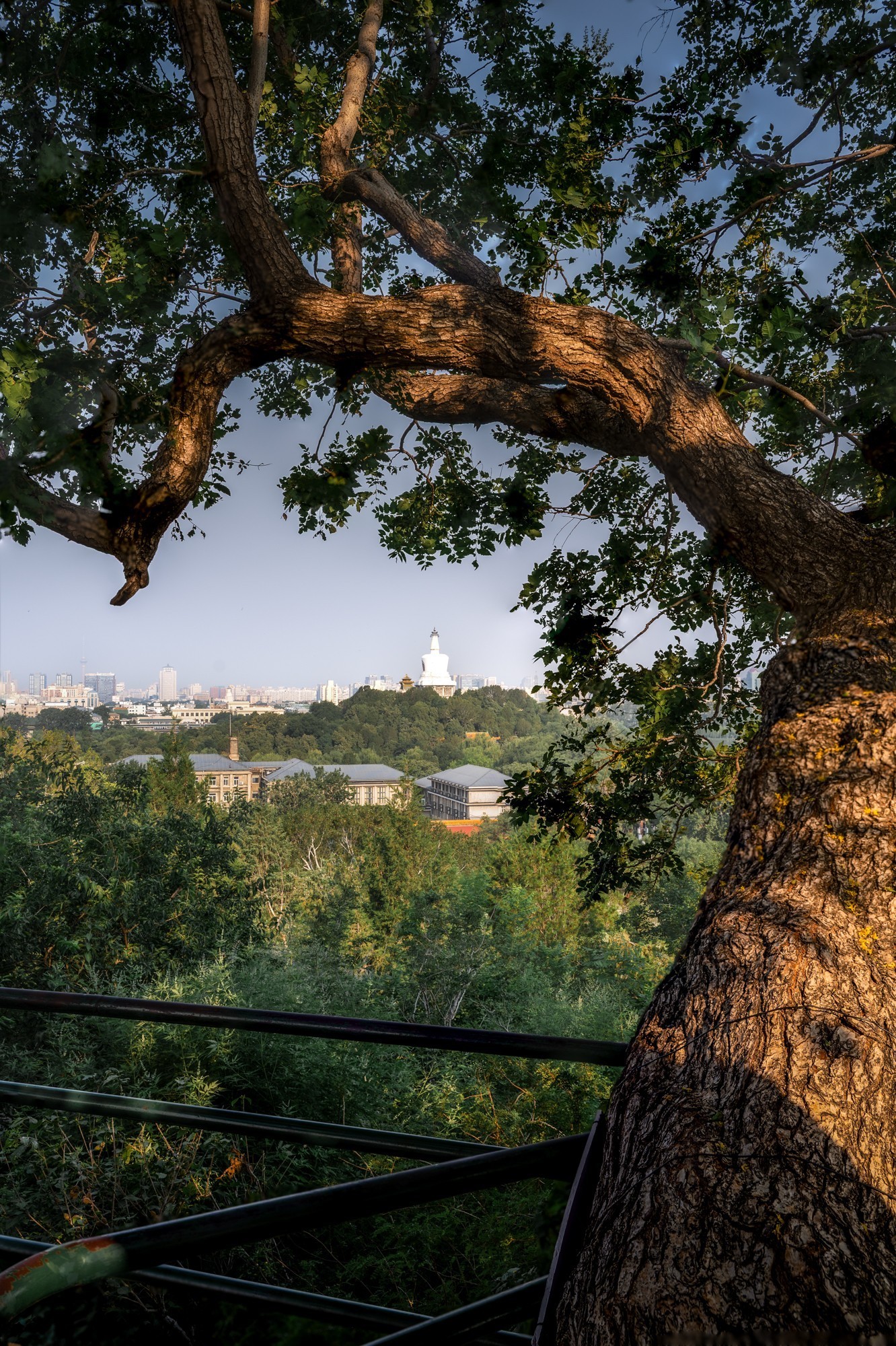 用尼康Z5II记录城市光影瞬间