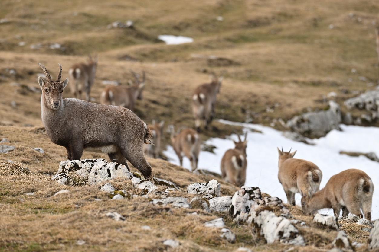 新年首程随拍:尼康让你的冬日旅途,每一帧都是壁纸