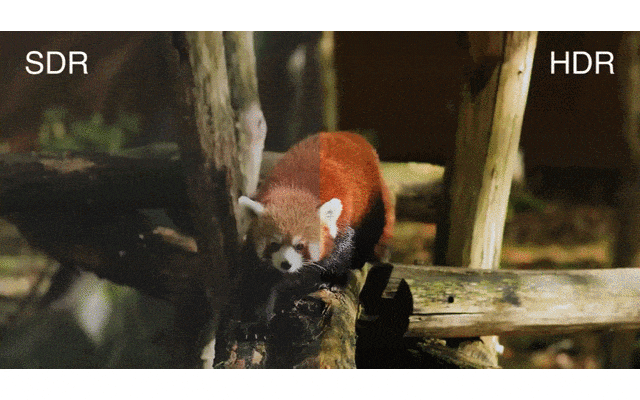 �ֳ������׼����ColorEdge CG2400SV��ʽ����