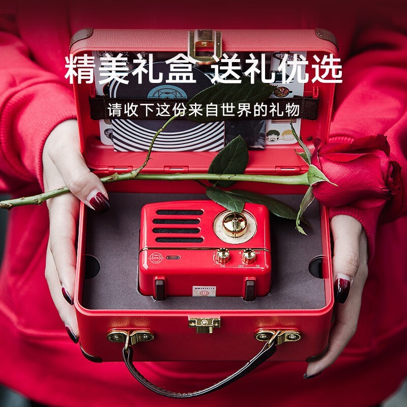 è��С����MW-2A��Ƥ�������