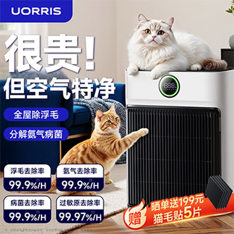ŷUORRIS¹ﾻŻݼ899