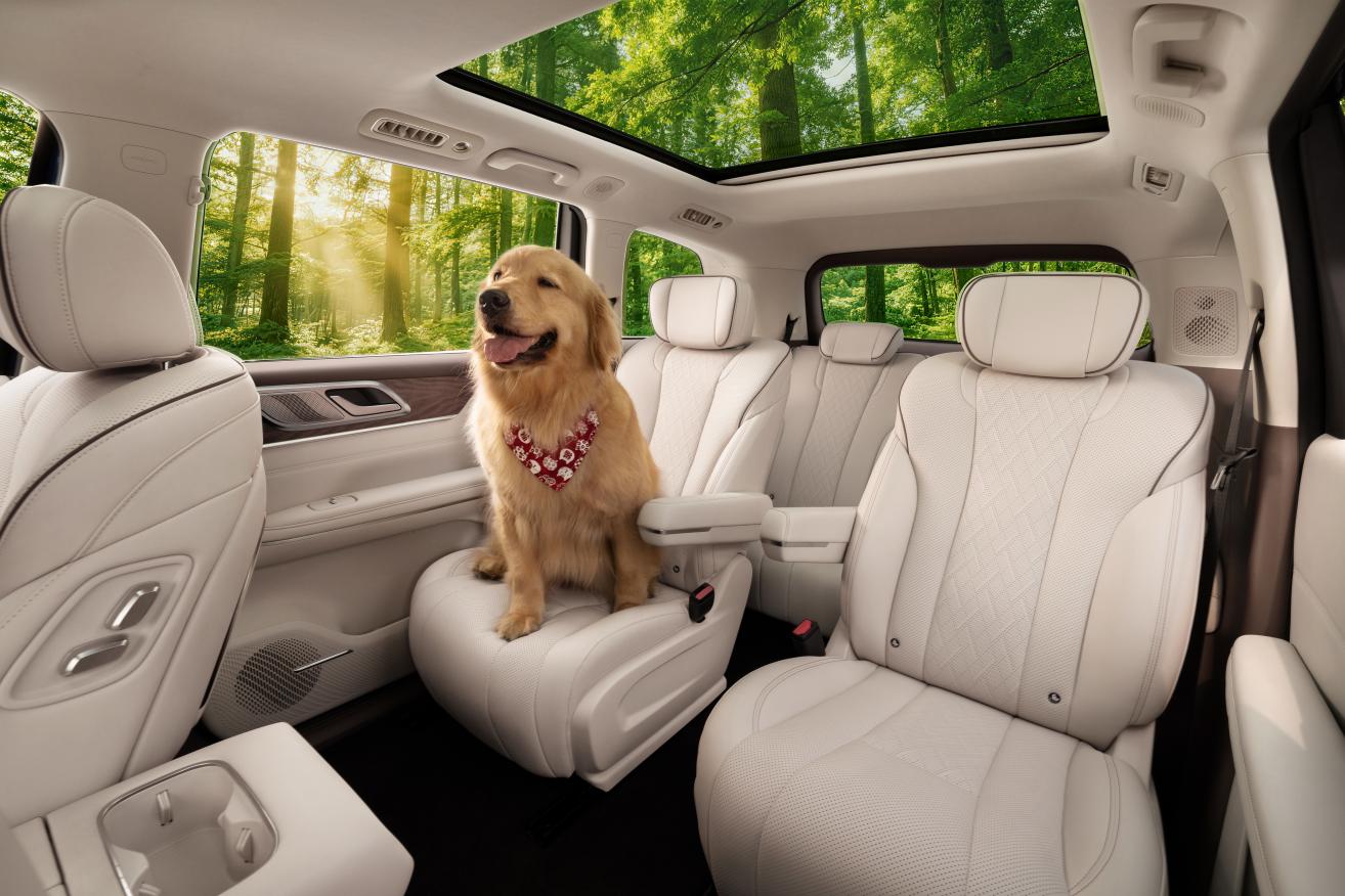 ��ֵ��SUV�Ƽ����ǹ�L����������ѧ��ƴ������ͥ����