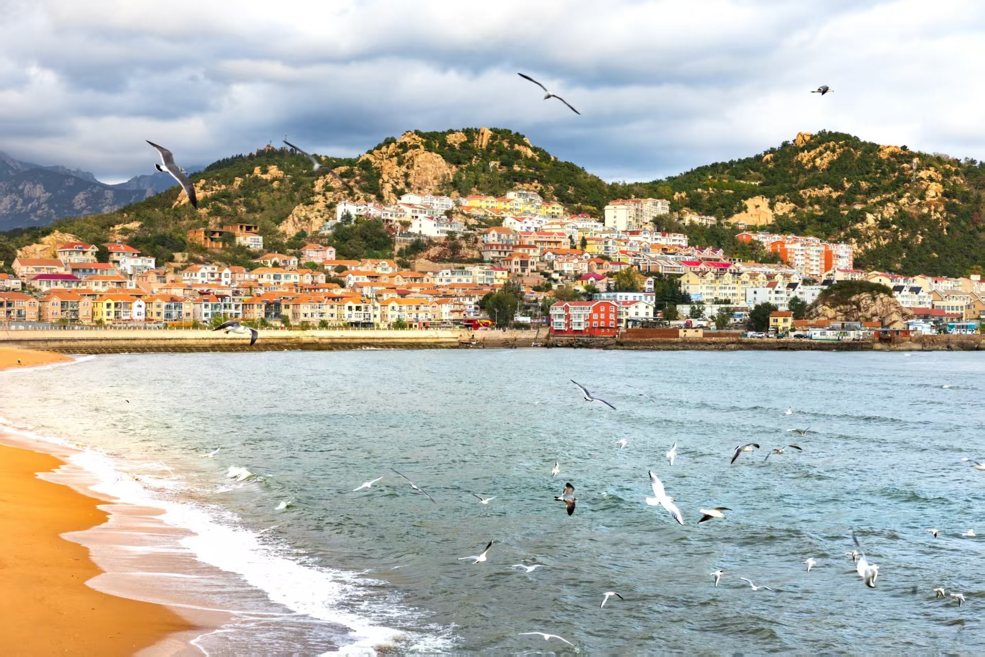 ׽˵켣 EOS R5 Mark II Ӱ