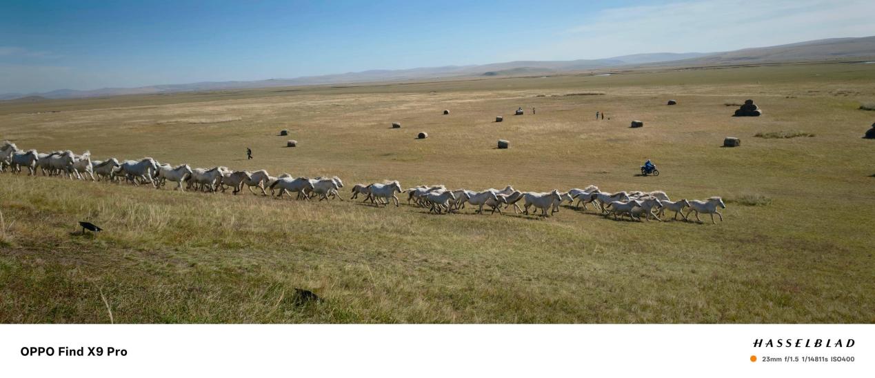 �ֻ���Ӱ��չ��������һ�Ρ����ʸ������ж��ѣ�