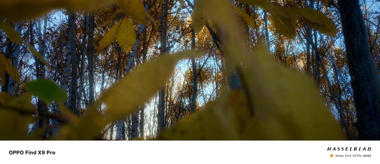 �ֻ���Ӱ��չ��������һ�Ρ����ʸ������ж��ѣ�