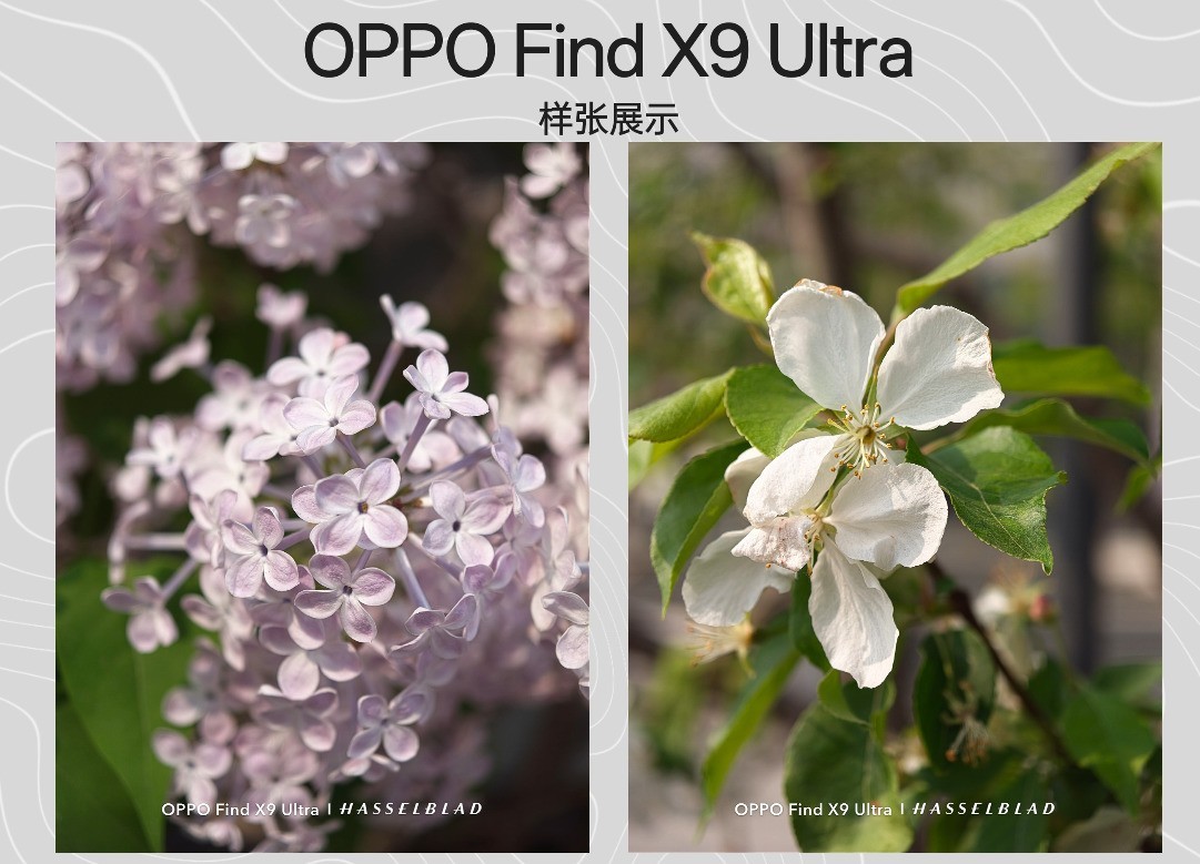 OPPO Find X9 Ultra�������飺�ڴ���Ĺ��գ������ж��ܴ�