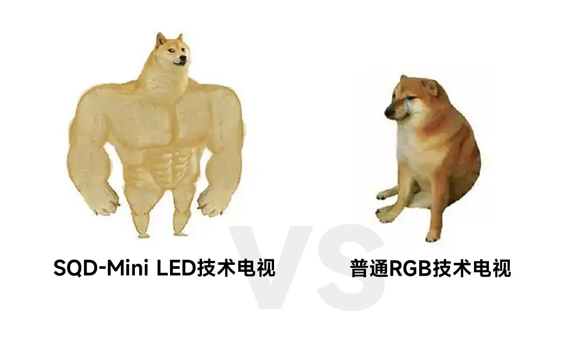 SQD-MiniLEDҫ��������TCL�ɸ߶˻������컨��