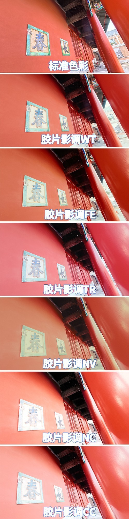 DJI Osmo Action 6⣺׷δɱȦȫ˶