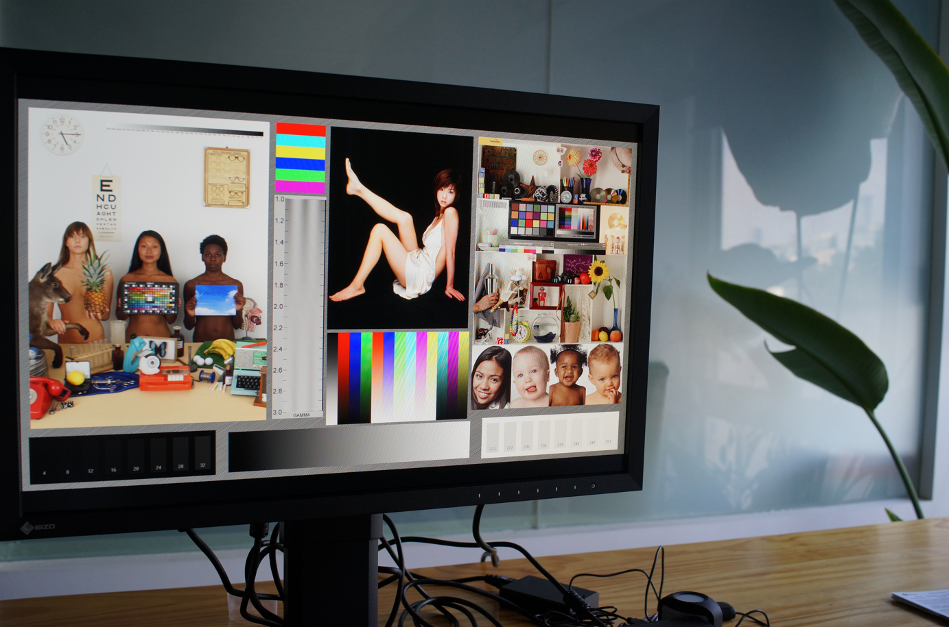 EIZO CS2400Rרҵʾ