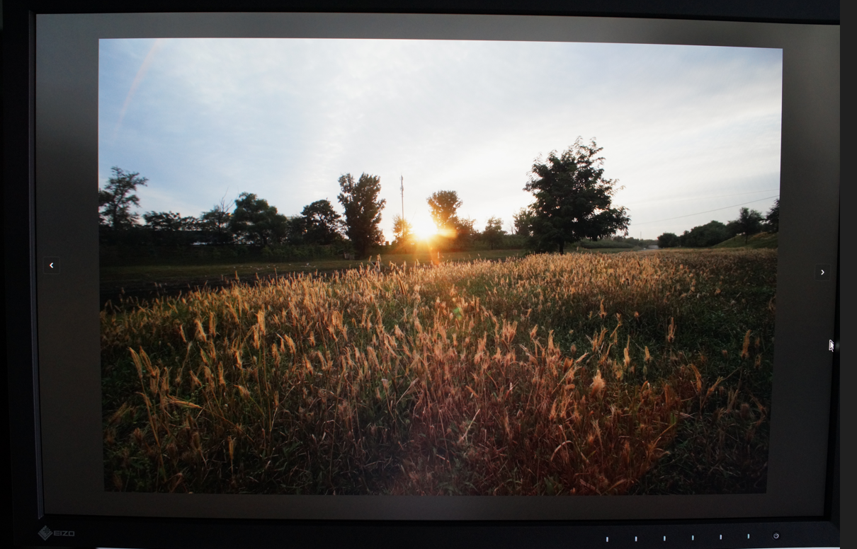 EIZO CS2400Rרҵʾ