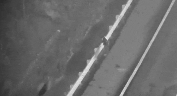 浙江交警用热成像无人机夜间秒寻高速出走男子