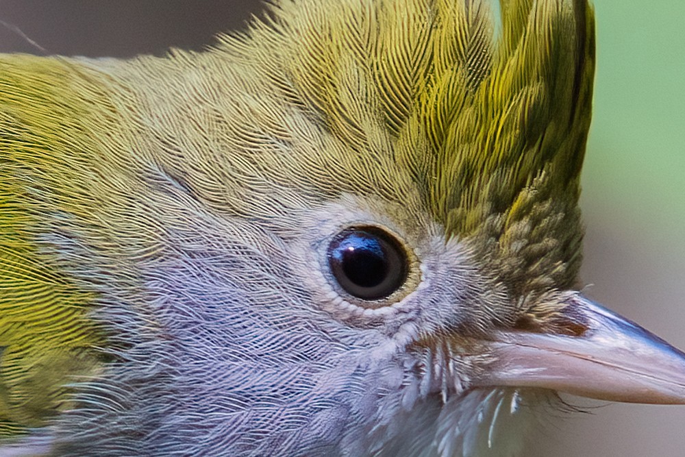 ��¼������˲�� �῵Z9+Z600mm f/6.3 VR S��ͷ��̬��Ӱ����