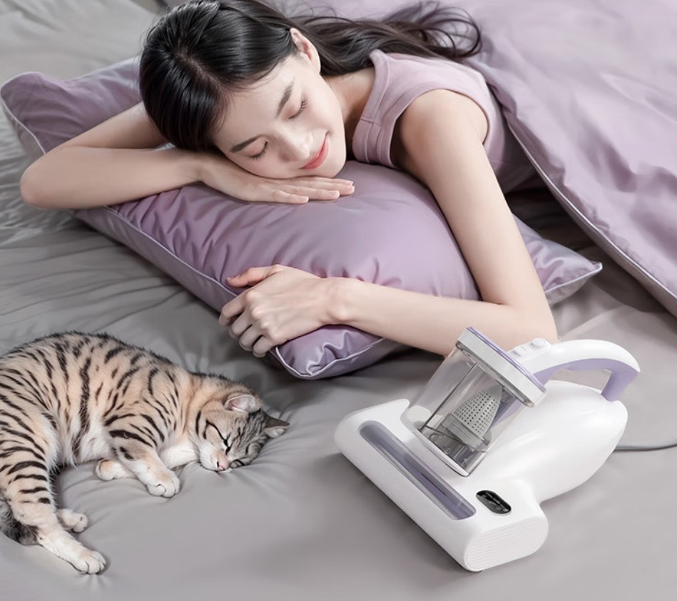 2026��500Ԫ��ֵ����ĳ����ǣ��������ʡ�ģ�