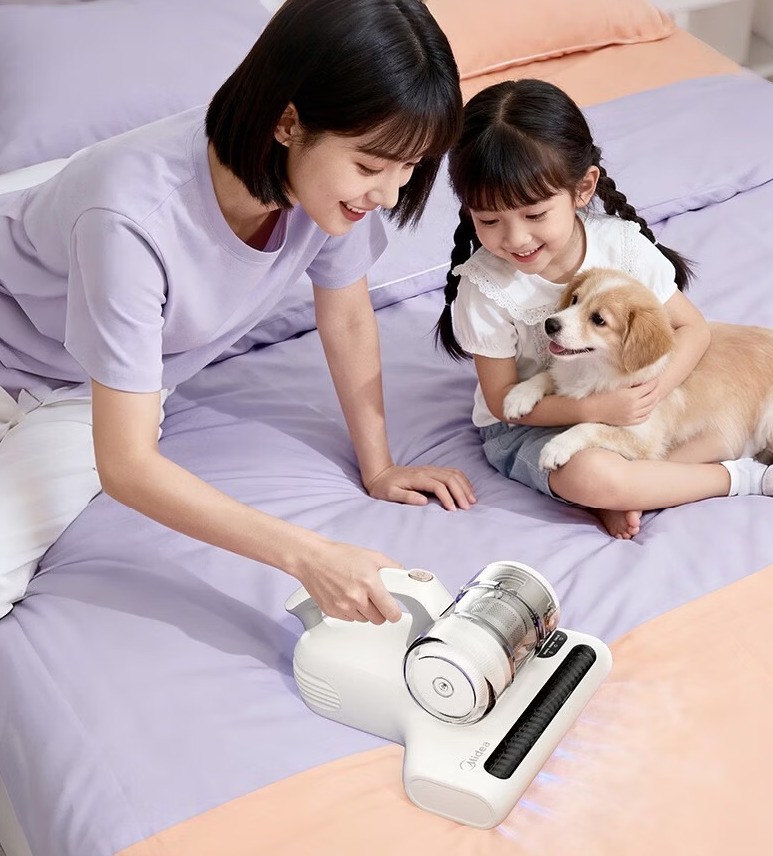 2026��500Ԫ��ֵ����ĳ����ǣ��������ʡ�ģ�