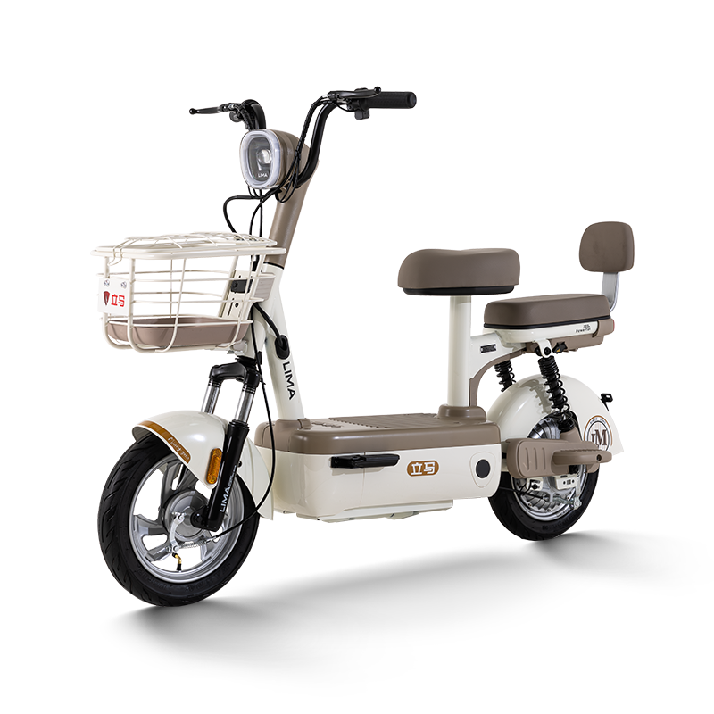 立马电动车 立马 TDT2303Z 电动车 XDD 48V 21ah