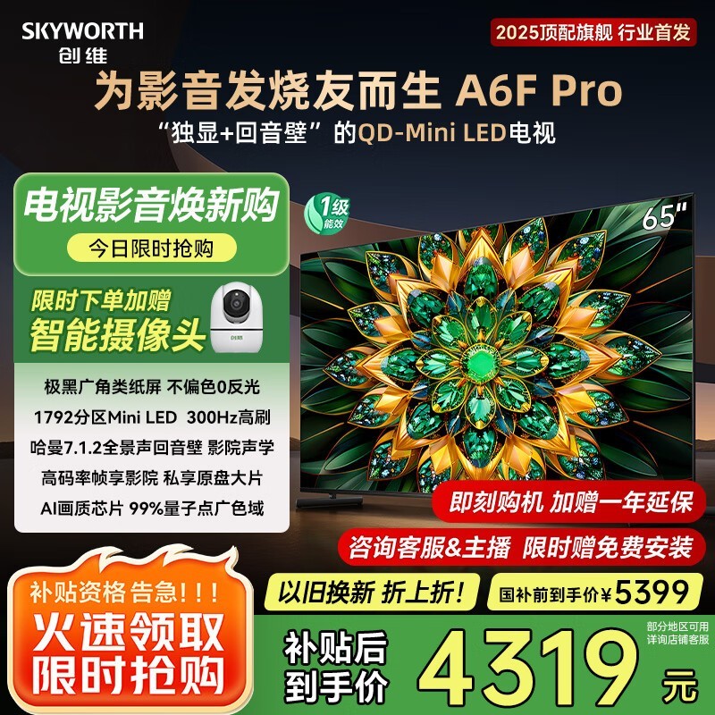 ά65A6F Pro4319Ԫӽ