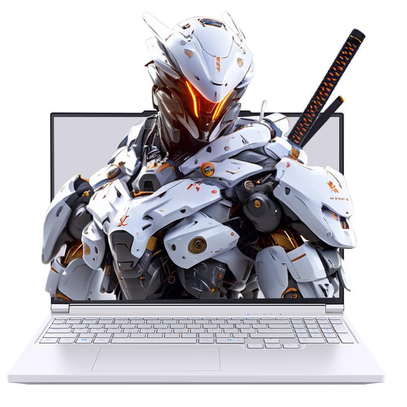 机械革命 极光X 十三代酷睿版 16英寸 游戏本
