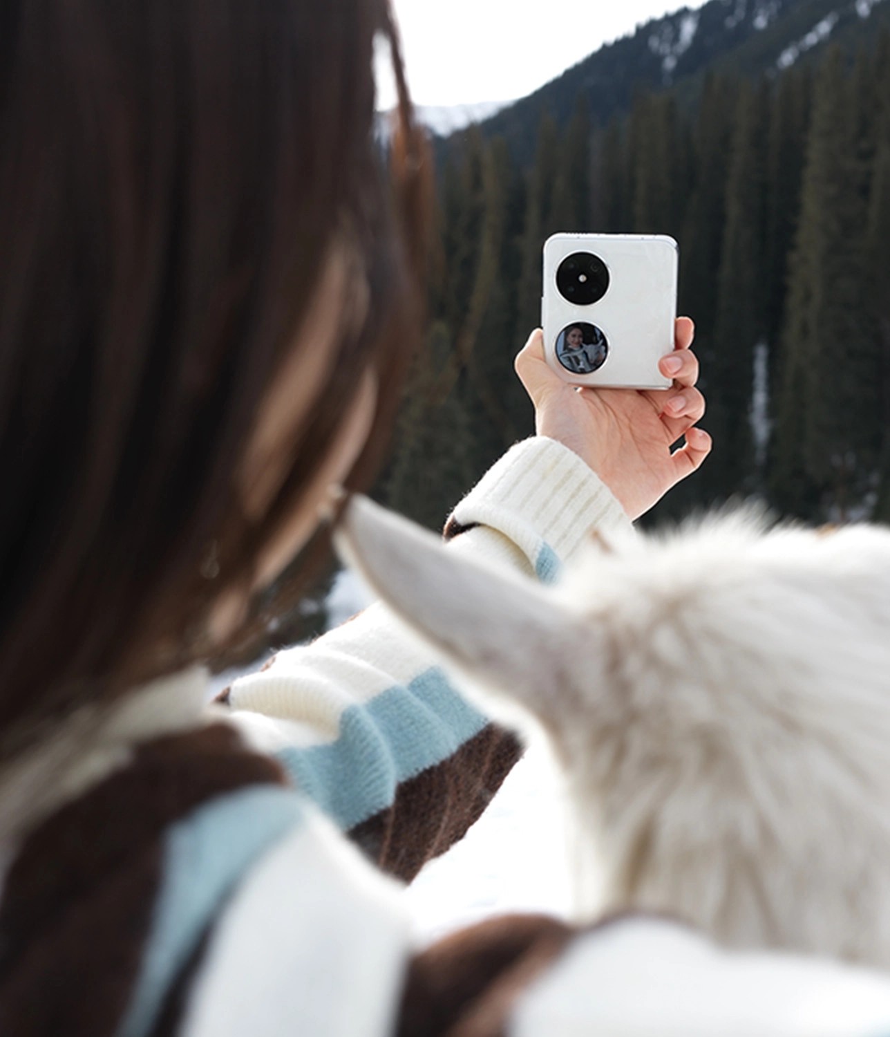 ΪPocket 2 ʽۣӹ4999Ԫ