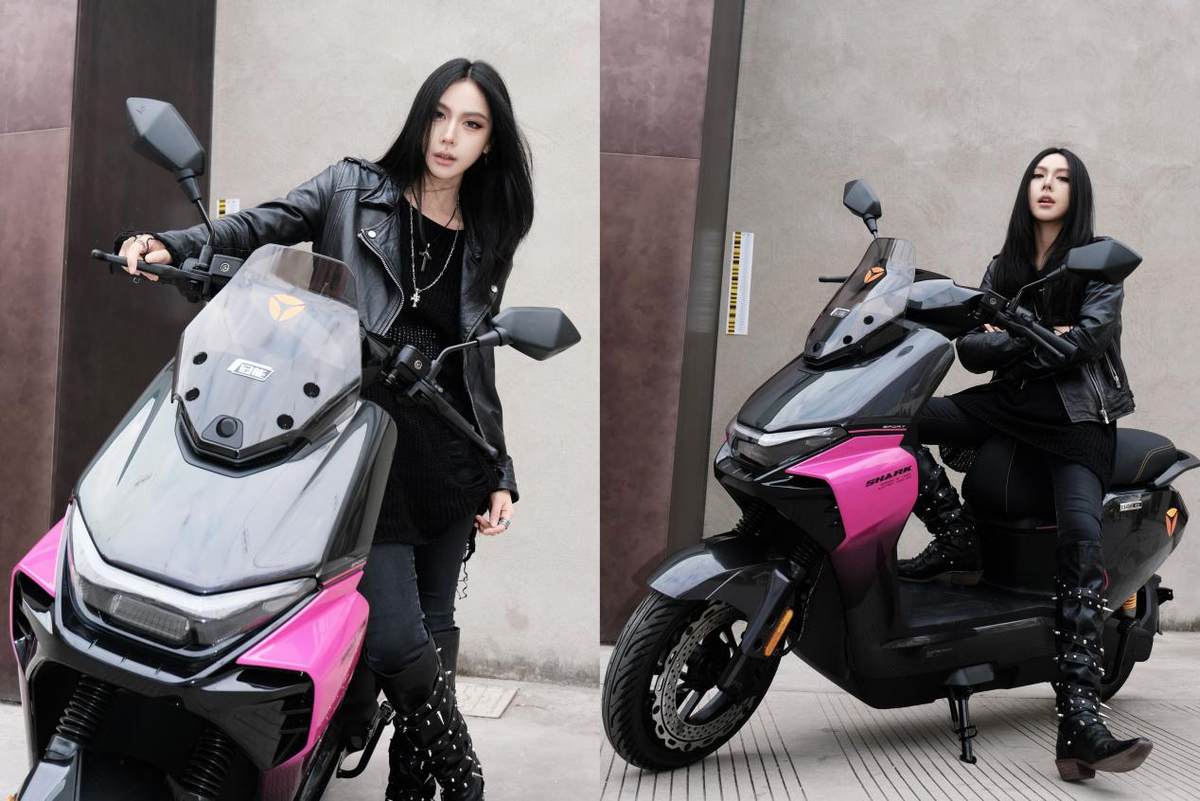 �������³������½����ˣ��ŵϹ��ܰ����ȫ������������