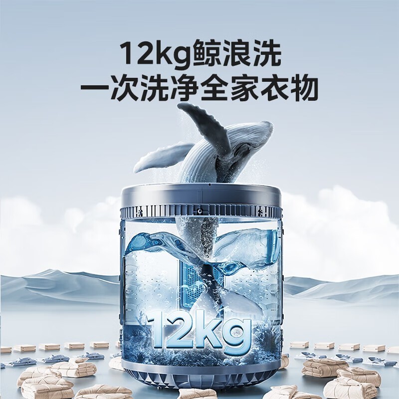 ����12���ﲨ��ϴ�»�ֱ��216Ԫ