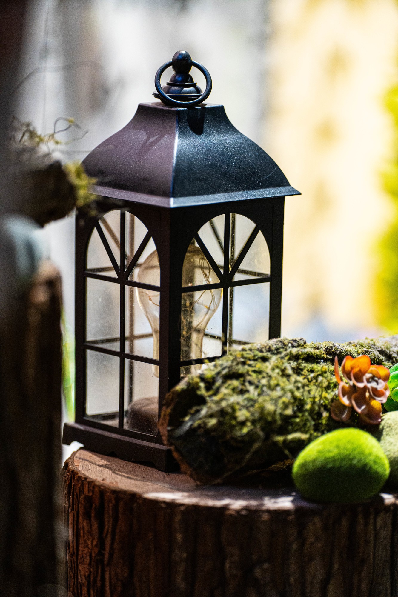 �����׿���Ȧ�����Զ��Խ���ͷ ����AF FF 200mm F2.0 C-Dreamer��ͷ����