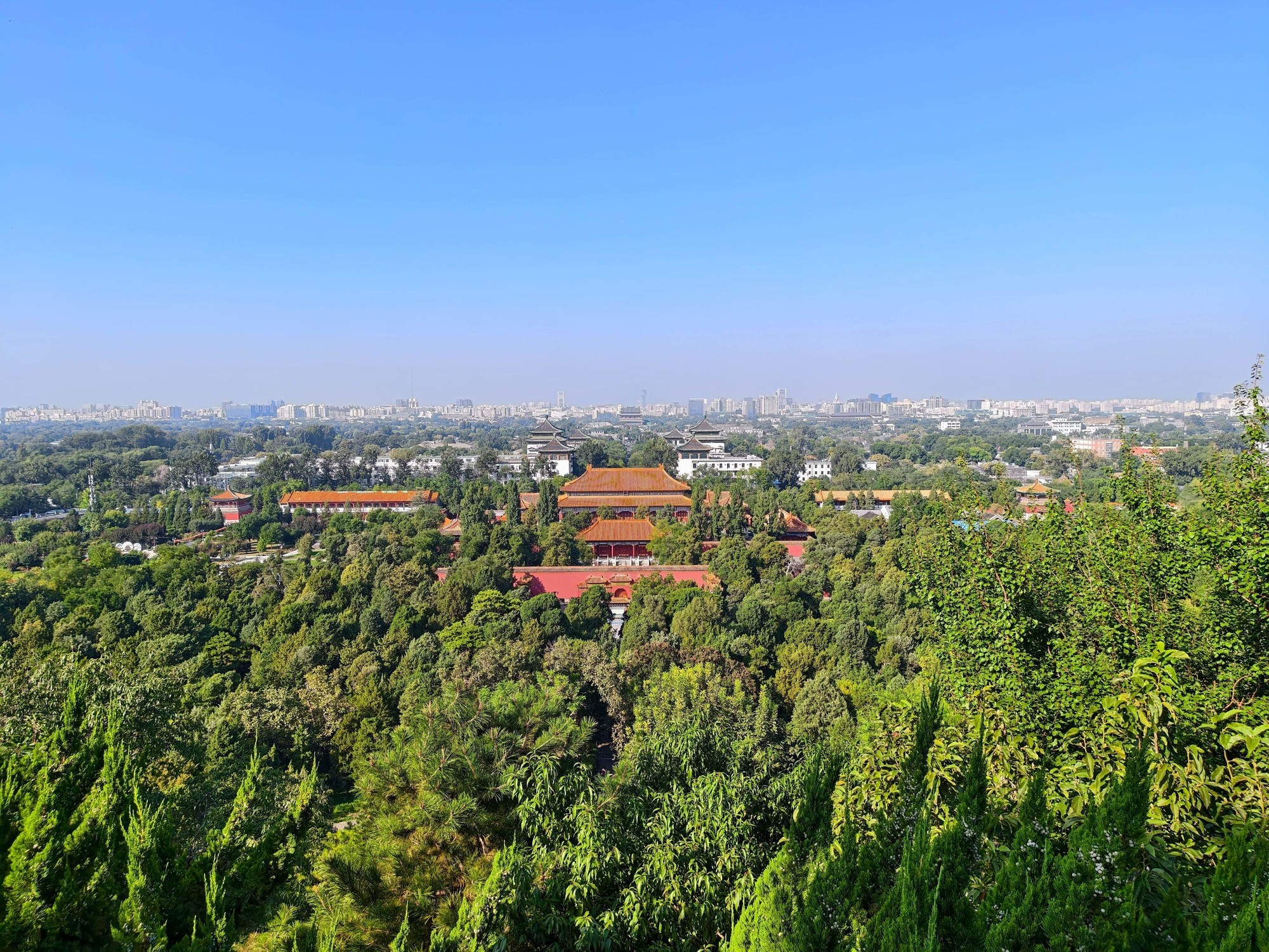 Ϊ�羺������ȫ��Ϊǿ iQOO 15ȫ������