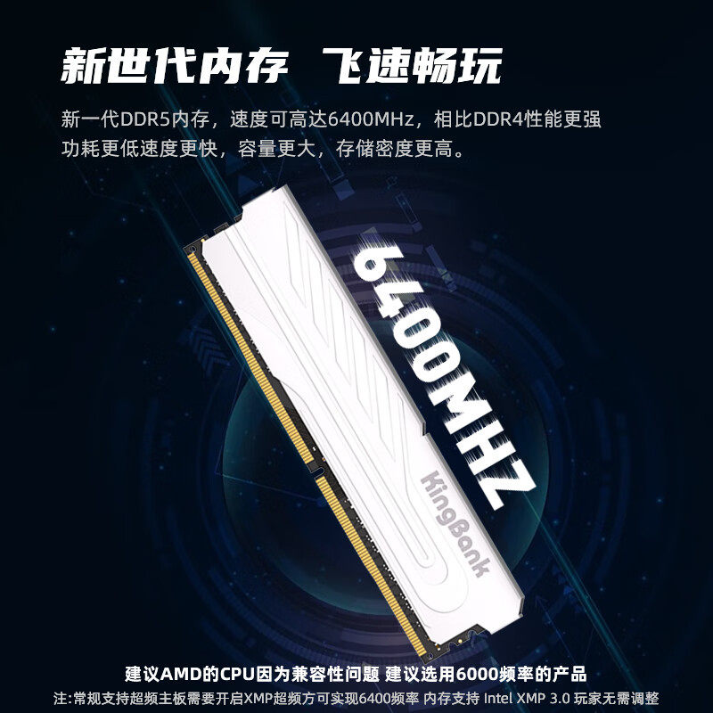 金百达 银爵系列 DDR5 RGB灯效 台式机内存条