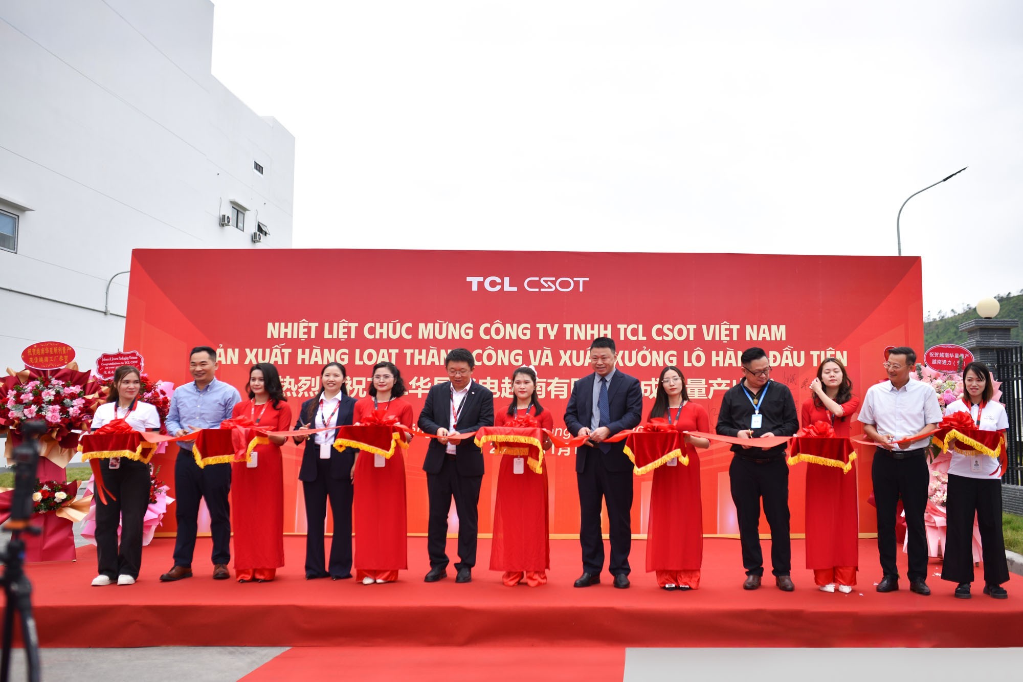 TCL����Խ�ϻ���IT��Ʒʵ������������ȫ�򻯲������롰��Ԫ�����½׶�