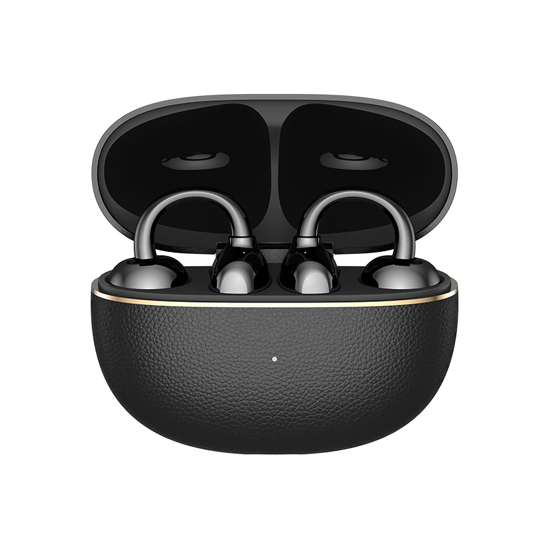荣耀亲选 2 Pro 通话降噪 长续航 高清音质 耳机