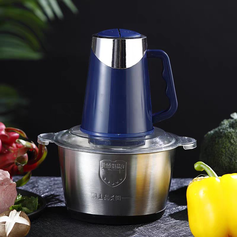 龙德利 绞肉机家用电动不锈钢小型碎肉馅搅拌机多功能打蒜泥蒜蓉器