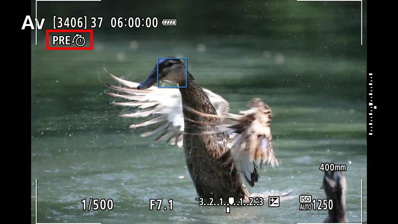 ��˳�� ���ɿ� ����EOS R1 Ver1.1.2�̼���������