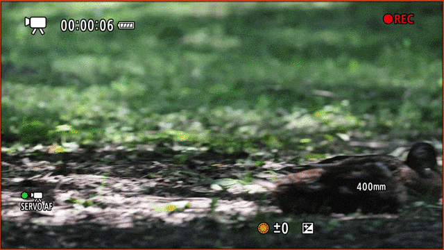 ��˳�� ���ɿ� ����EOS R1 Ver1.1.2�̼���������