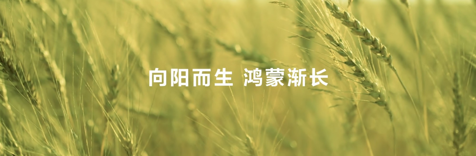 Ӽµ̬Яֻ鹹