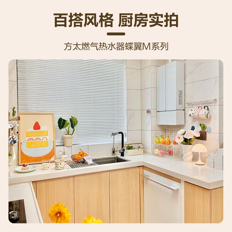 ��̫����Mϵ��ȼ����ˮ��17L