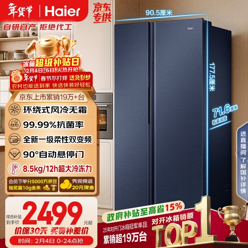 ���� BCD-618WGHSSEDBL