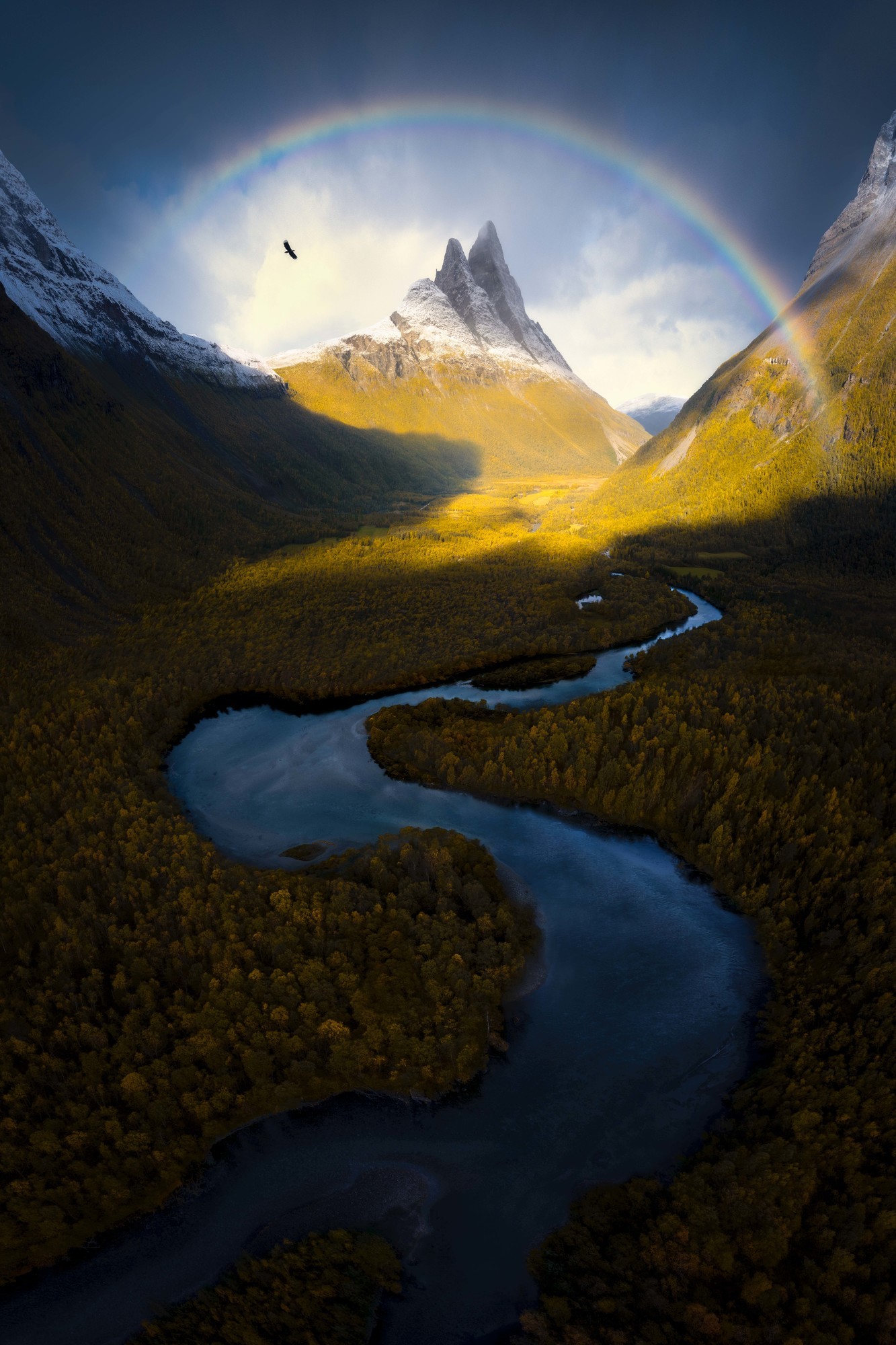 DJI�����֮��11����Ӱ��������̹���