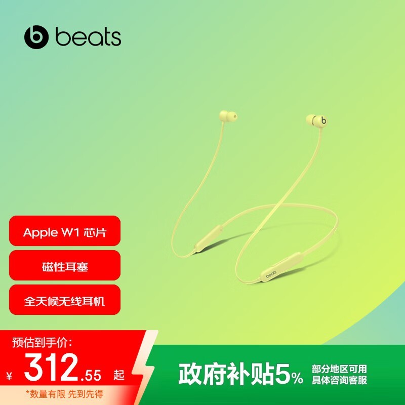 Beats Flex