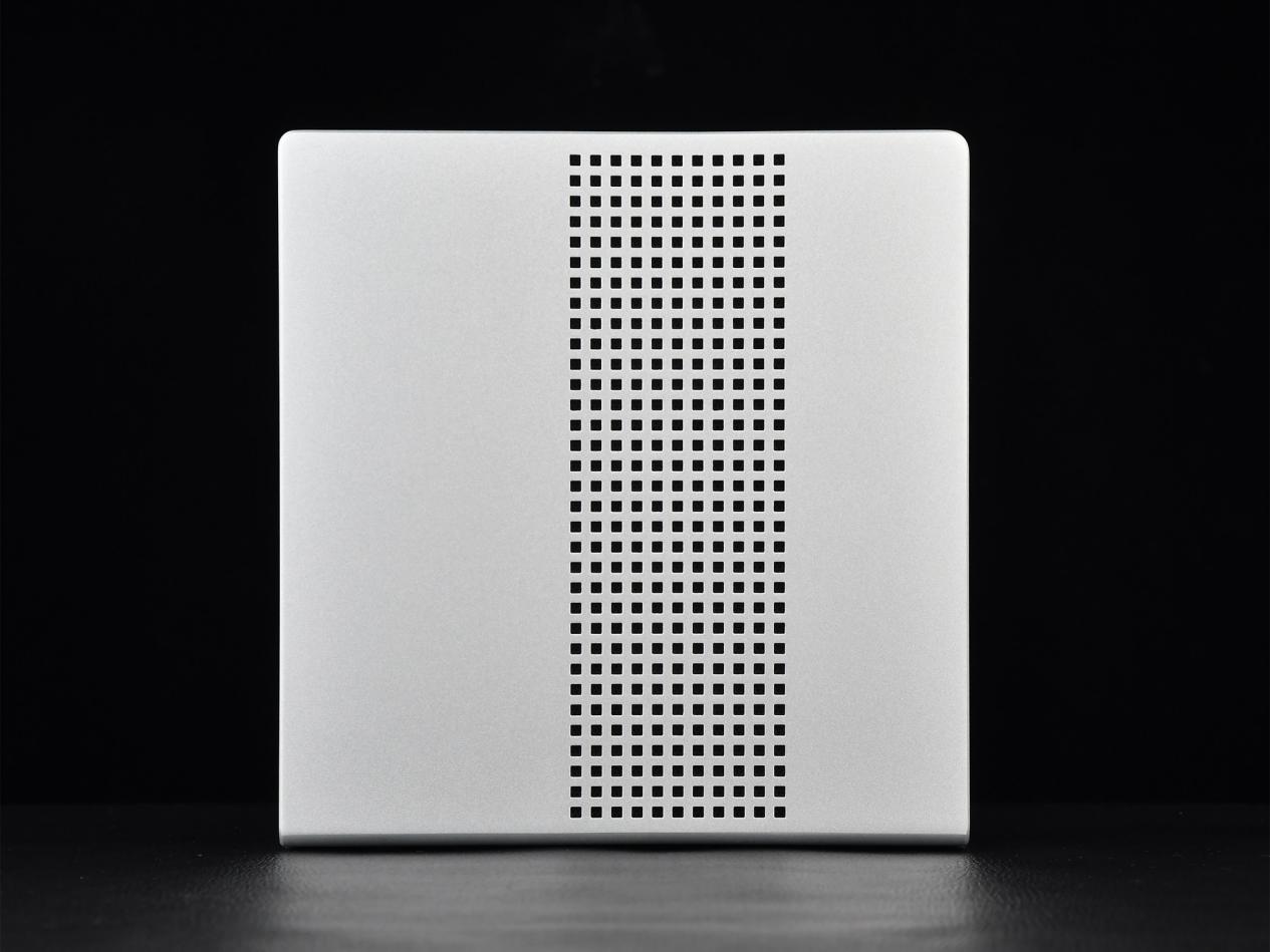 �ͳɱ�������AI������������Ħ��EVO-X2����Mini AI����վ�������